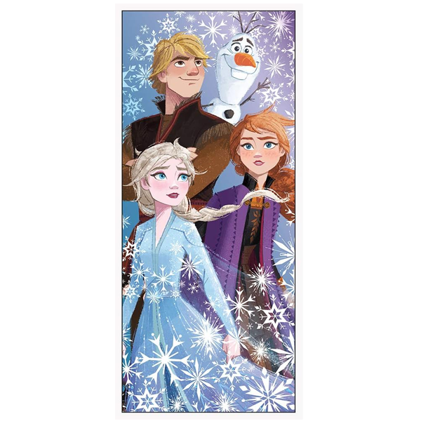 Frozen Door Poster