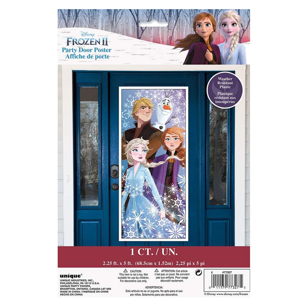 Frozen Door Poster
