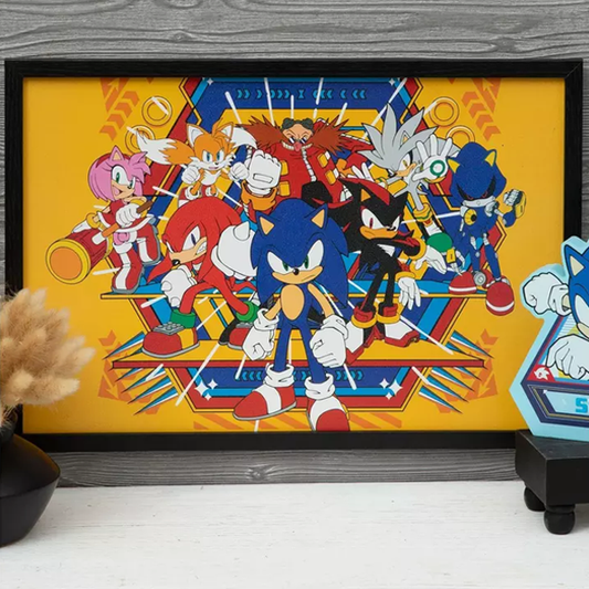 Sonic Wall Picture