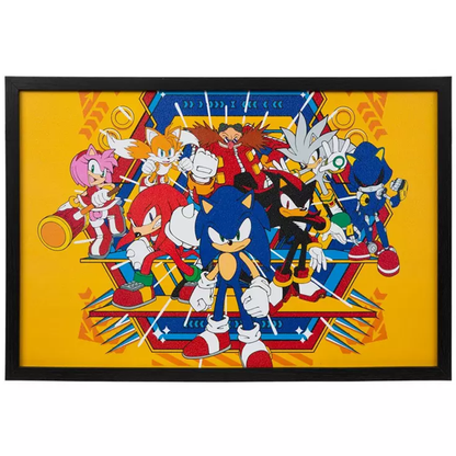 Sonic Wall Picture
